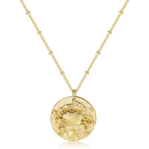 Zodiac Coin Embossed Choker Necklace Disc 12 Constellation Astrology Horoscope - Picture 1 of 7